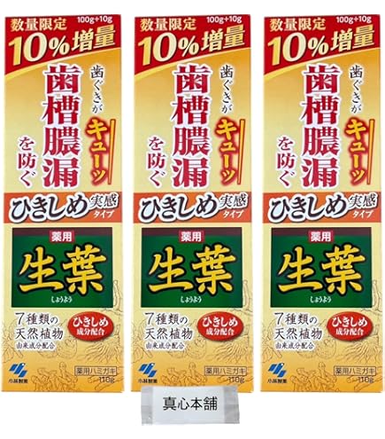 【小林製薬】生葉EX （しょうようEX） 100g × 6個セット Amazon | 生葉EX 100g x6個セット | 小林製薬 | 大人用ハミガキ粉